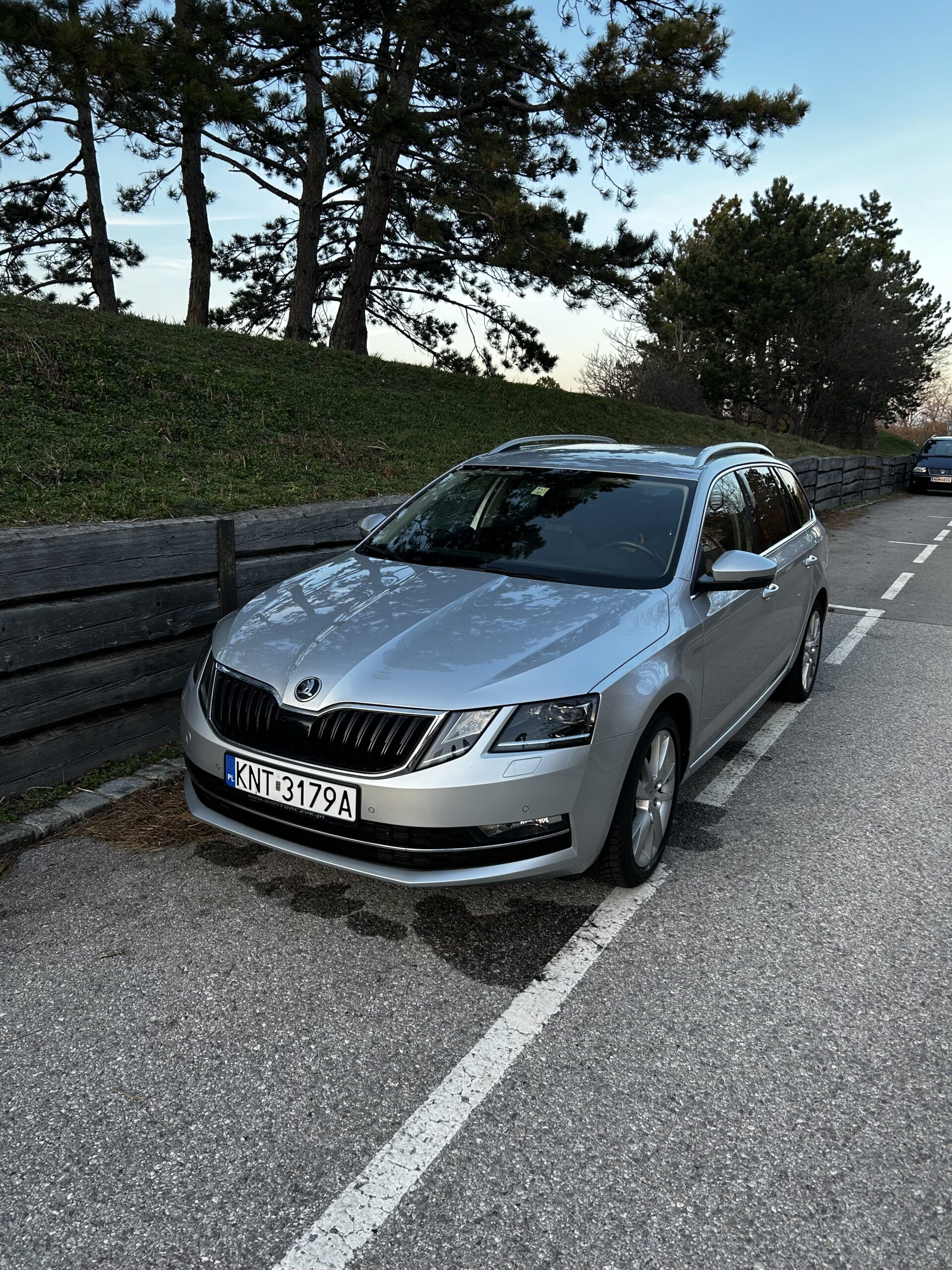 Srebrna Škoda kombi stoi przodem przy drewnianej barierce, zaparkowana na asfaltowym poboczu obok skarpy porośniętej trawą i drzewami